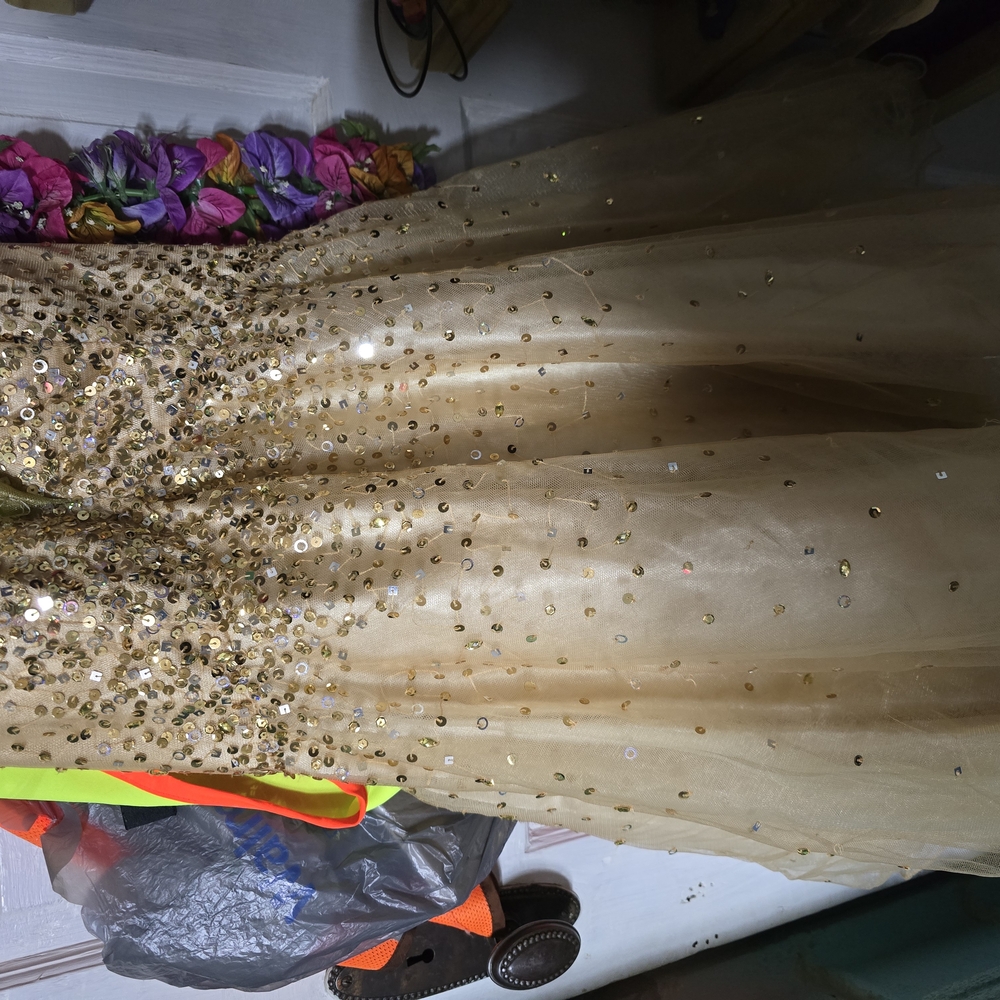 Gold Sequin Evening Gown